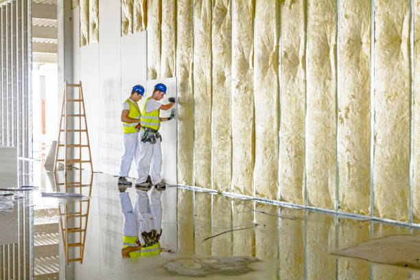 Best Insulation Maintenance and Repair in Harleigh, PA